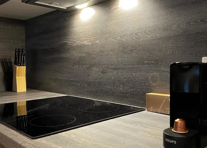 דירה City Apartment Graz גראץ